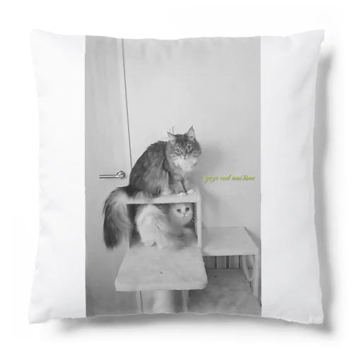 #ネコヒメペット 101ฅ^ơωơ^ฅ♡ Cushion