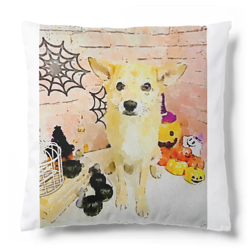 可愛いしばわんHappyHalloweenグッズ Cushion