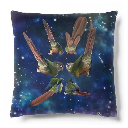 スペースミラクルはーちゃん様 Cushion