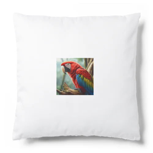 コンゴウインコ Cushion