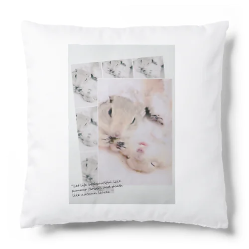 キュートなジリスたち　＊シンプル＊ Cushion