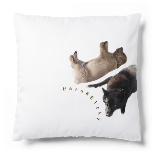 Haru&Bickyシリーズ Cushion
