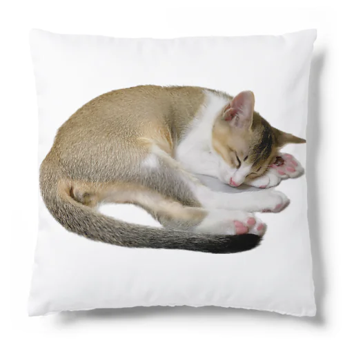 こねこらいふ Cushion