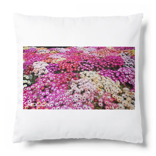 V!V!D Flower's Cushion