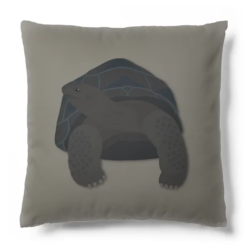 アルダブラゾウガメ Cushion