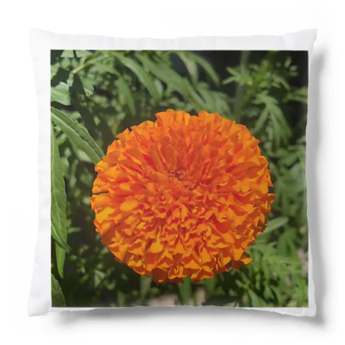 一輪の花 Cushion