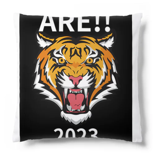 ARE‼　2023 Cushion