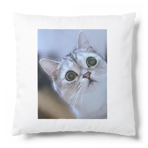 猫の名前はレオ Cushion