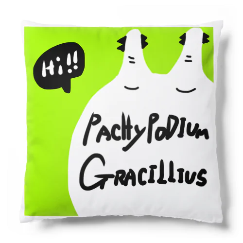 Pachypodium Gracilius  Cushion