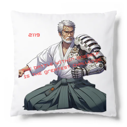 合気道の達人 Cushion