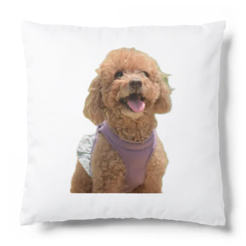  愛犬PASS Cushion