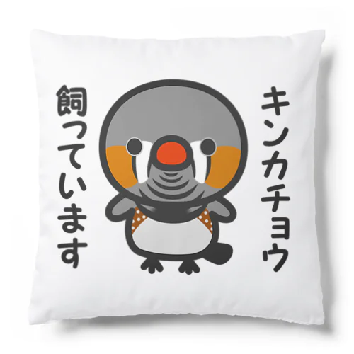 キンカチョウ飼っています（オス） Cushion