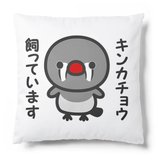 キンカチョウ飼っています（メス） Cushion