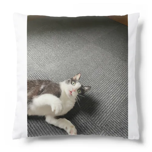 しん Cushion