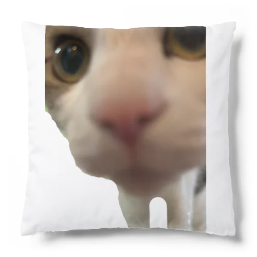 いやし猫　無限ちゃん Cushion