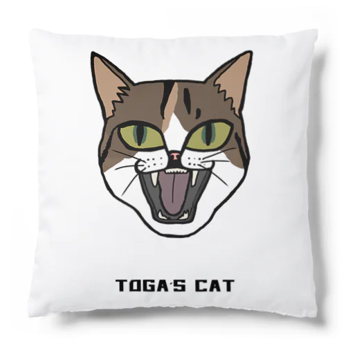 TOGA,s CAT Cushion