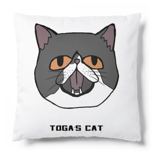 TOGAs  CAT Cushion