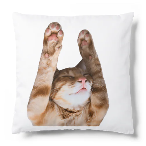 バンザイねこ Cushion