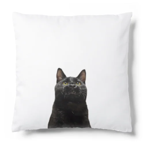 黒猫 Cushion