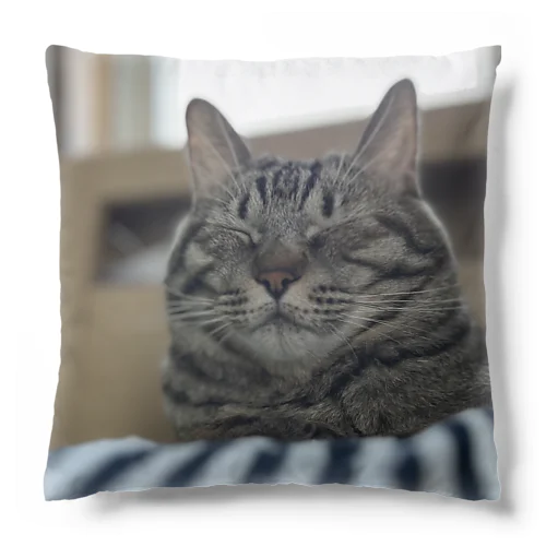 おやすみねこ Cushion