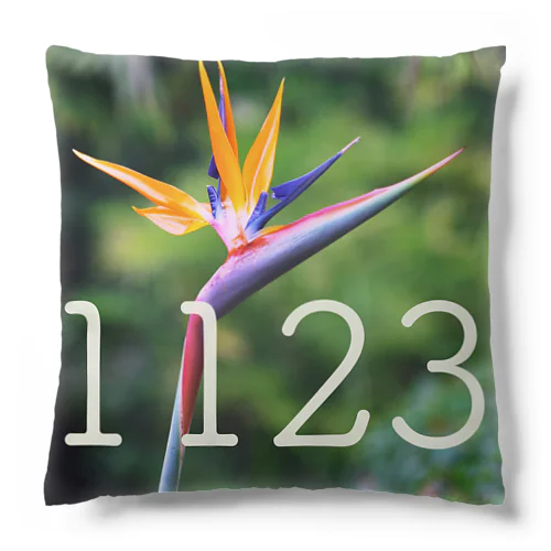 11月23日 ストレリチア Cushion