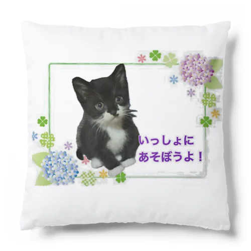 いっしょあそぼうよ！ Cushion