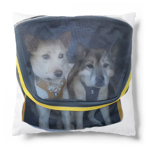 カートに乗せられ病院に連れてかれる犬 Cushion