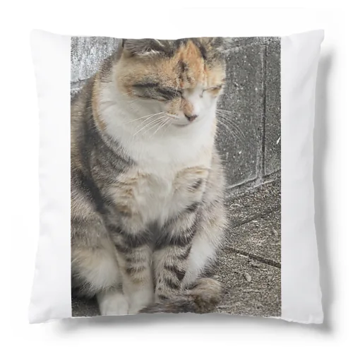 立ち寝ネコ Cushion