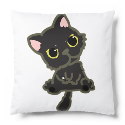 保護猫 政宗 Cushion