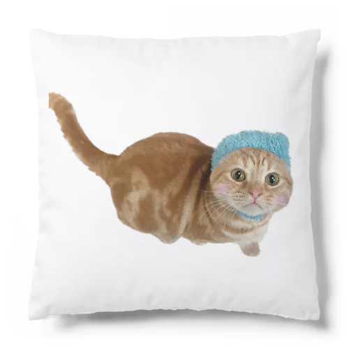 ねこもふ生活のちゃーぼー Cushion