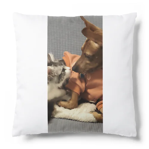 Mattaly  Cushion