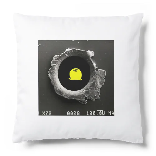 弾痕deぽんぢ君 Cushion