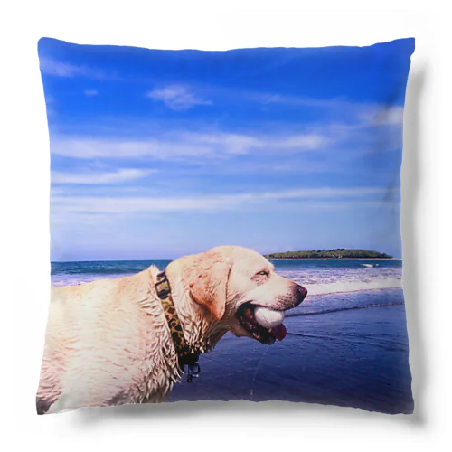 ラブラドール海老蔵 Cushion