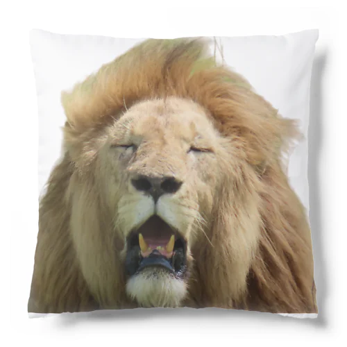 眠そうなオスライオン Cushion