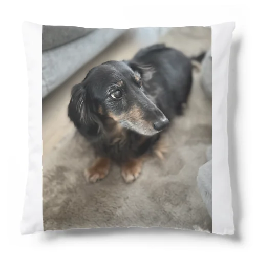 犬 Cushion