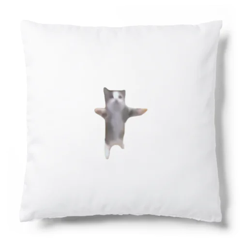 【猫ミーム】Happy Happy Cat Cushion