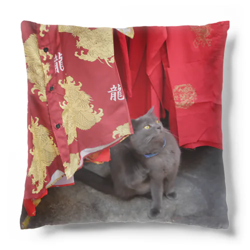 旅猫 Cushion