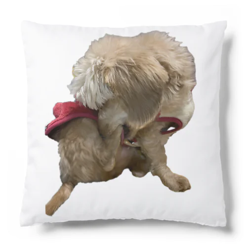 犬　ガジガジ Cushion