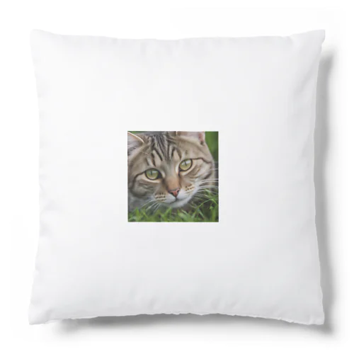 草村の猫 Cushion