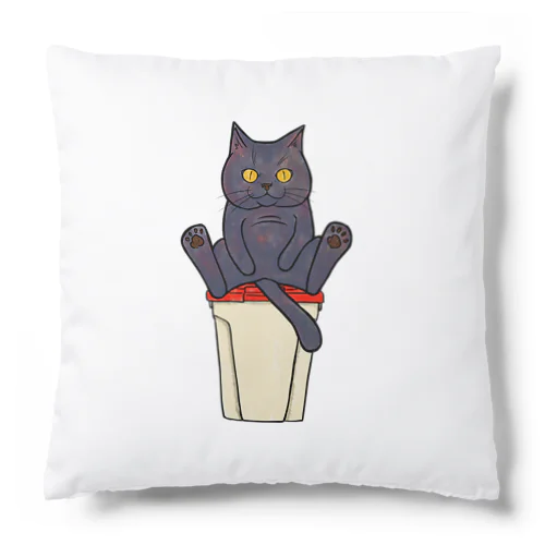 ゴミ捨て場のカラス対策 Cushion