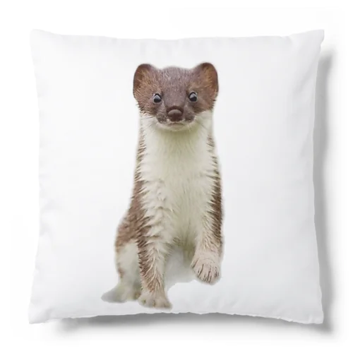 オコジョくん Cushion