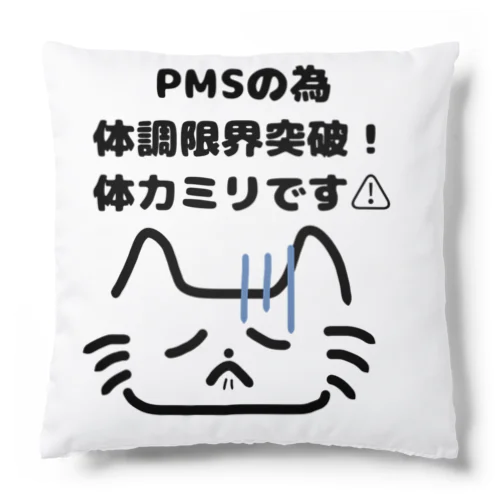 PMSお伝え猫さん クッション