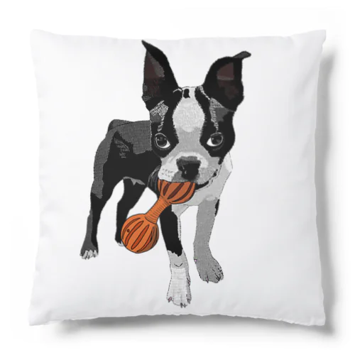 オニギリ（若い頃の悪さを企んでいる顔） Cushion