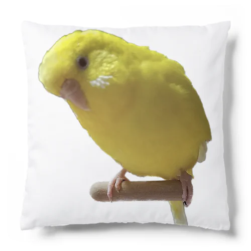 やんきゅうちゃん Cushion