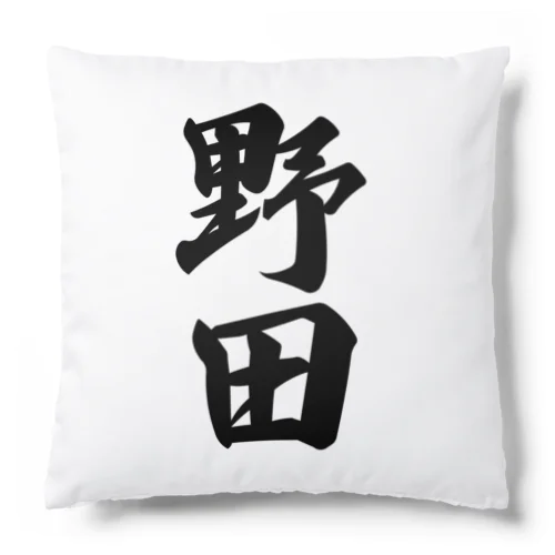 野田 Cushion