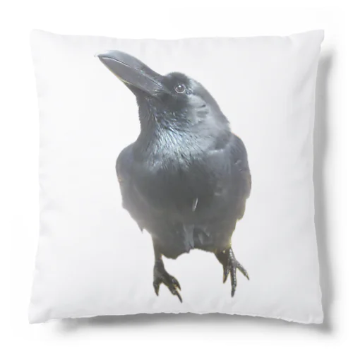 おめめクリクリかわいいカラスのハッピー Cushion