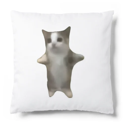 今話題の猫ミーム！ Cushion