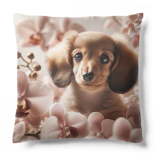 洋ランの花が美しく咲き誇るダックス！  Cushion