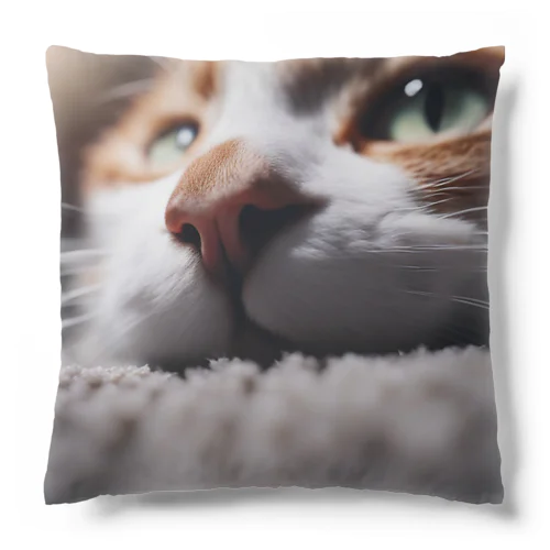 カーペットでごろんとする猫 Cushion