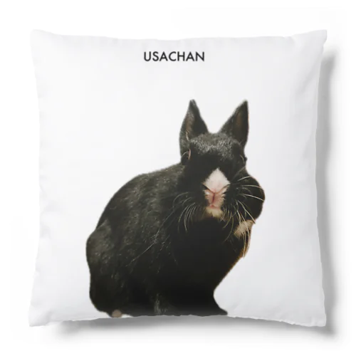 USACHAN Cushion